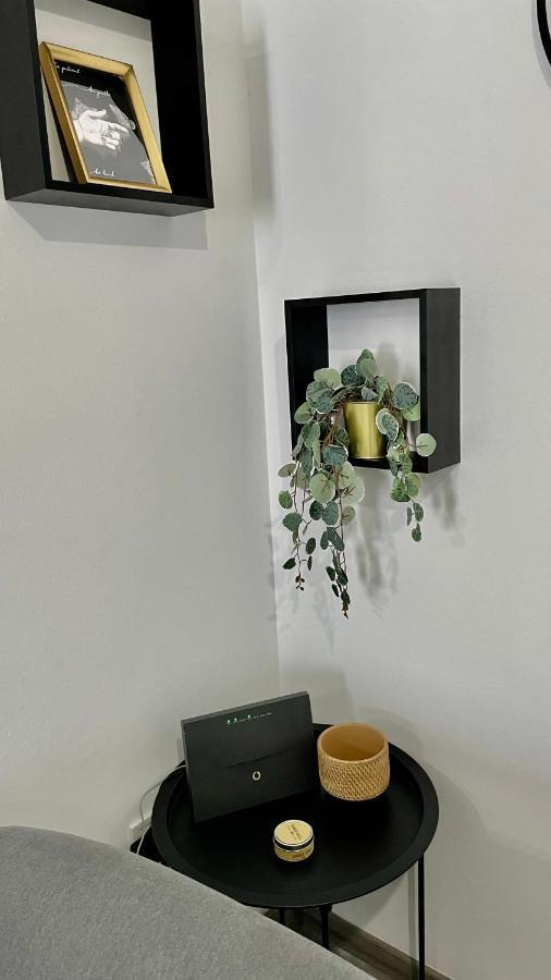 Gorgeous Renovated Apt. Close To Metro And Cultural Sites! アテネ エクステリア 写真