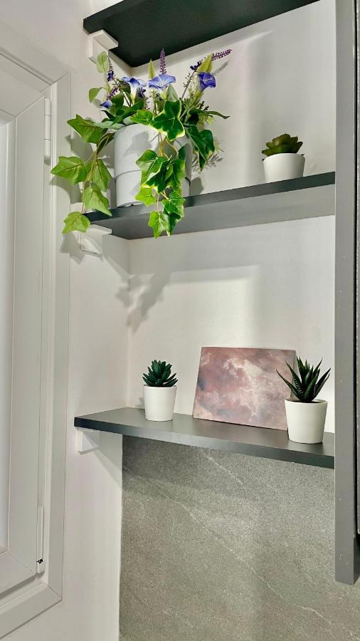 Gorgeous Renovated Apt. Close To Metro And Cultural Sites! アテネ エクステリア 写真
