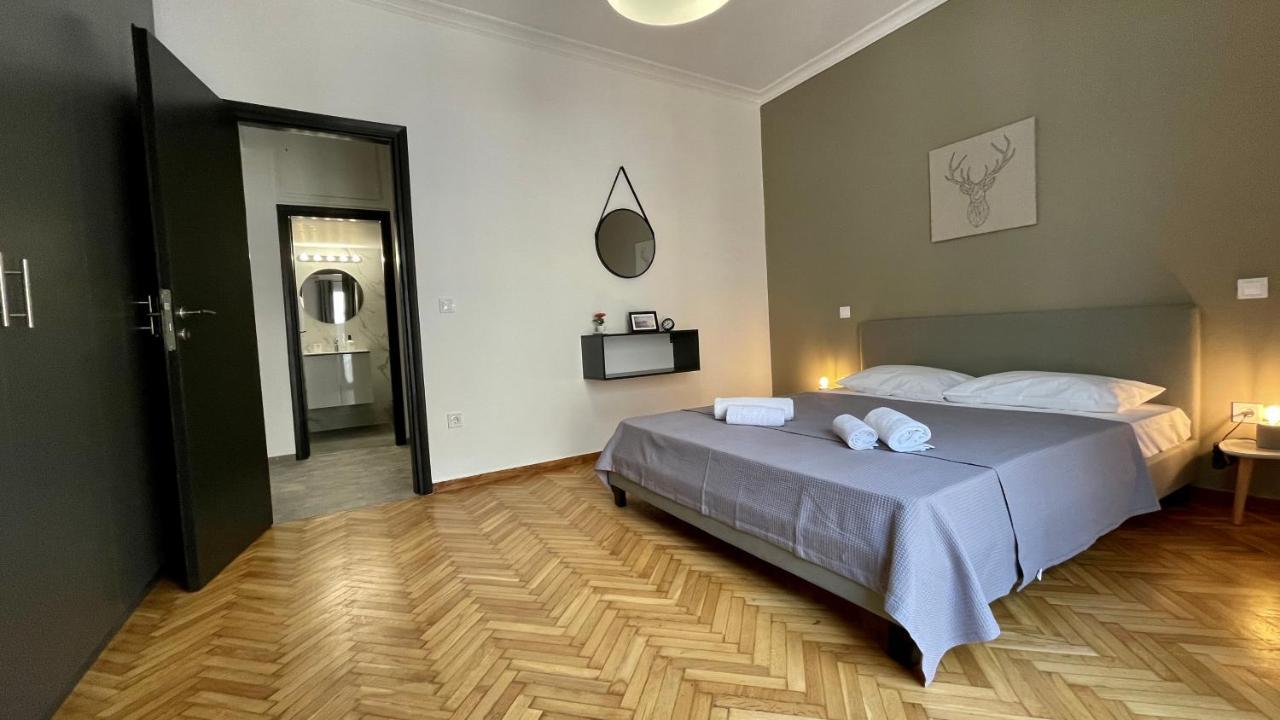 Gorgeous Renovated Apt. Close To Metro And Cultural Sites! アテネ エクステリア 写真