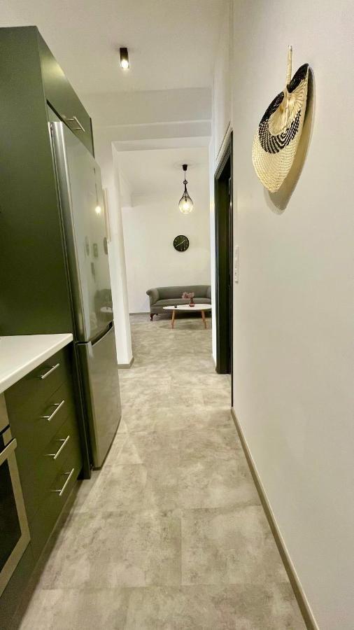 Gorgeous Renovated Apt. Close To Metro And Cultural Sites! アテネ エクステリア 写真