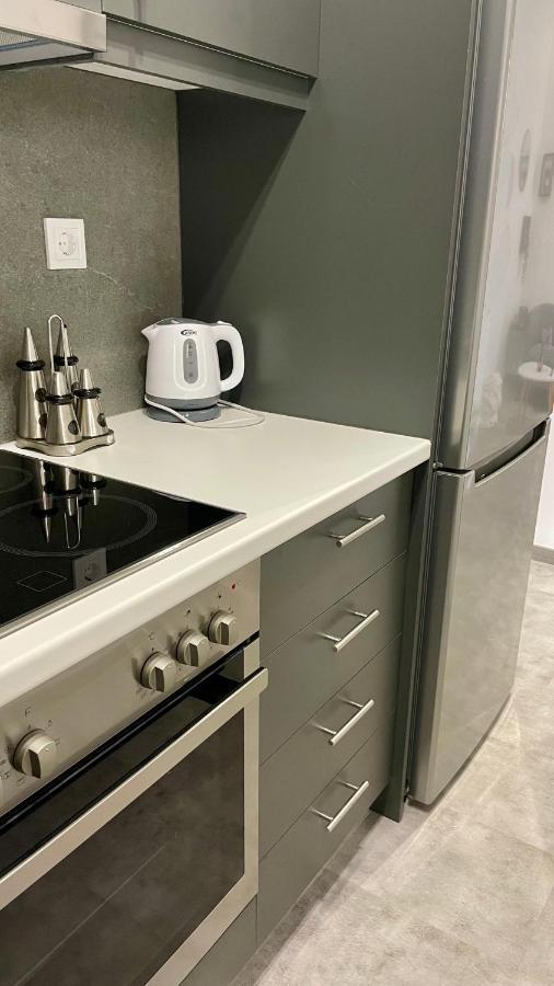 Gorgeous Renovated Apt. Close To Metro And Cultural Sites! アテネ エクステリア 写真